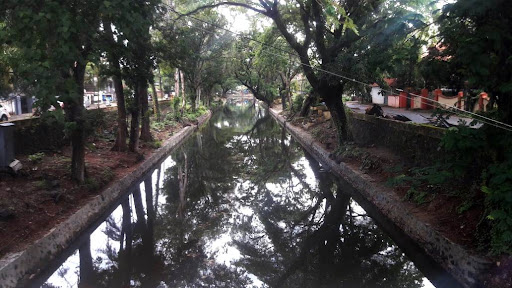 Canals In Alappuzha